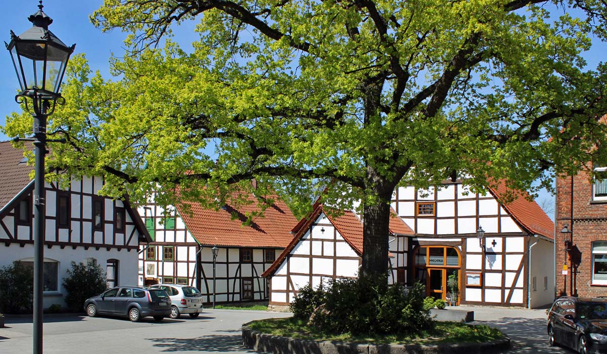 Neubau EDEKAMarkt pro LAUENAU